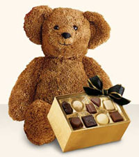 Large Bear with Boxed Chocolates