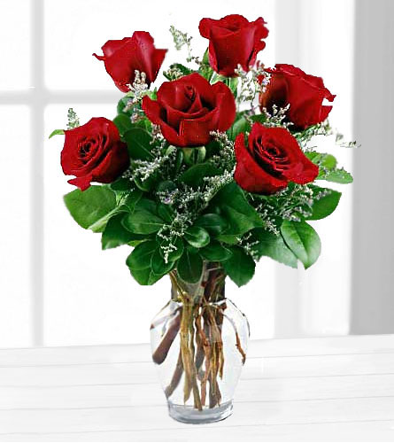 Six Red Roses in a Vase