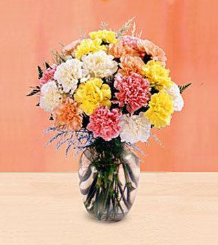 FTD's Carnation Bouquet