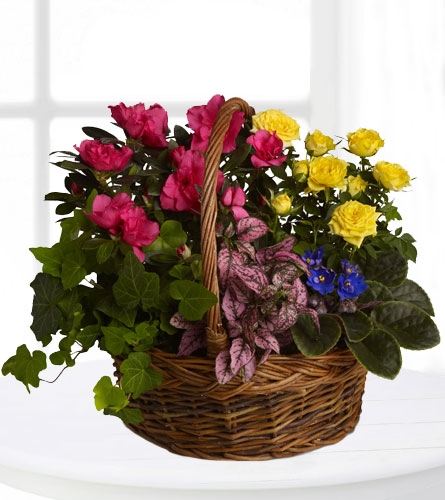 Teleflora's Blooming Garden Basket