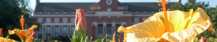 Providing daily flower delivery to students and faculty at James Madison University Monday - Saturday