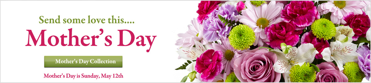 View our collection of Mother's Day flowers and gifts