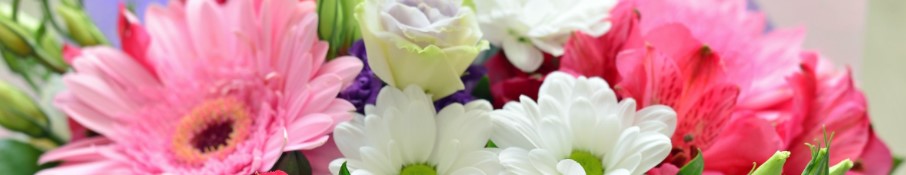 Sending Get Well Flowers and Thinking of You Flowers to Hallmark Health System