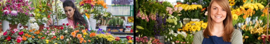 The Flower Shop - Offering hundreds of floral arrangements with fast, same-day flower delivery to San Miguel, NM for any occasion.